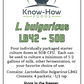 Lactobacillus bulgaricus LB42 (single-use B-CFU pkts or you-scoop bulk jars)