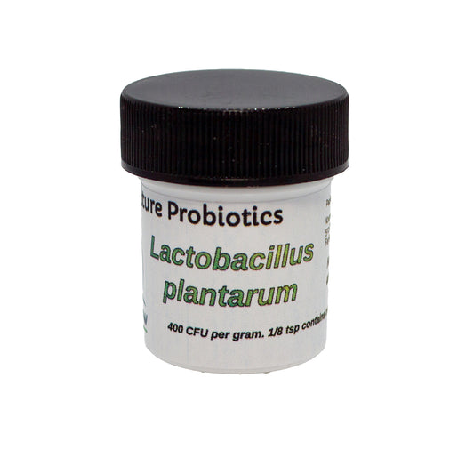Pure Culture Probiotics (Lactobacillus plantarum)